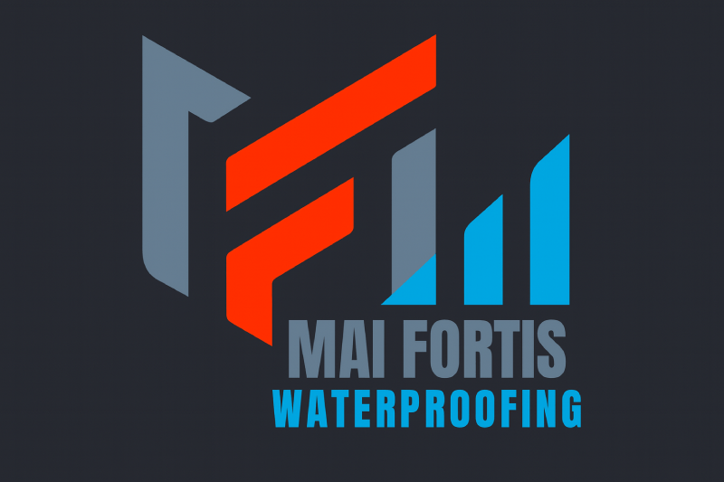 White Logo Image